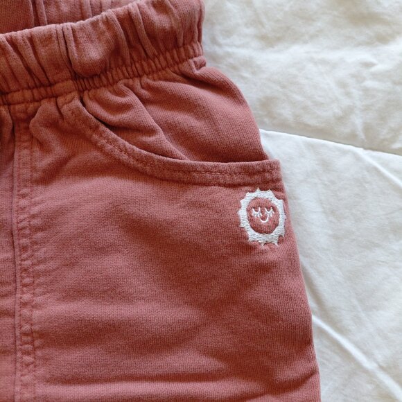 Big Bud Press Sweat Shorts Pink Size M - Picture 2 of 4